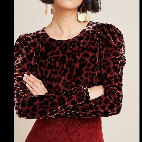 NWT Dolan  leopard print velvet blouse - Picture 2 of 8